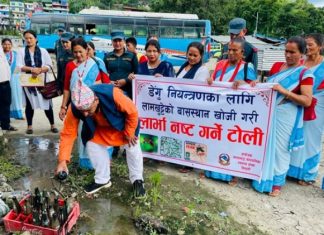 सिन्धुलीमा लामखुट्टेका लार्भा नष्ट गर्ने अभियान