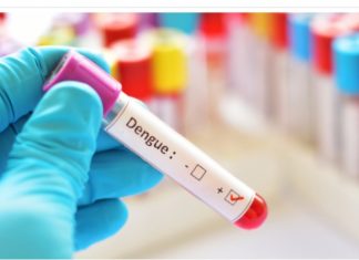 थप ७६१ जनामा डेंगु सङ्क्रमण, दुई जनाको मृत्यु