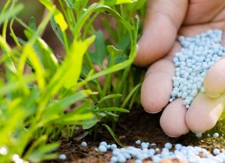 मल र बीउ उपलब्ध गराउनेलाई भोट !