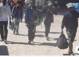 सीमा नाकाको पीडा ! मतदानपछि कामको खोजीमा भारत