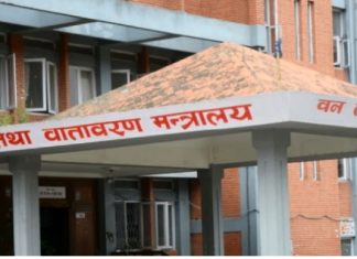 वन मन्त्रालयमा विकृति मौलाउँदो, कर्मचारी व्यवस्थापनमा त्रुटि नै त्रुटि