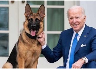 अमेरिकी राष्ट्रपतिको कुकुरले मान्छे टोक्यो !