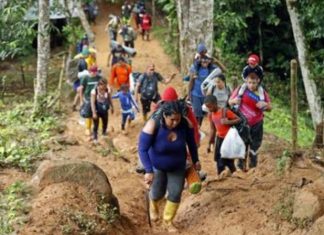 ड्यारियन ग्याप पार गरेर अमेरिका जानेको संख्या ४ लाख नाघ्य