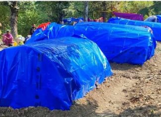 जाजरकोट भूकम्प : पालमा बस्दै आएकी बालिकाको चिसोले कठ्याङ्ग्रिएर मृत्यु