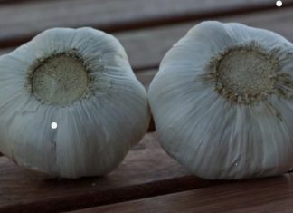 अमेरिका चिनियाँ लसुनले सुरक्षा खतरा !
