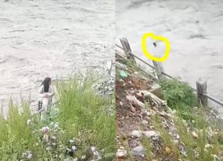 सुरक्षाकर्मीले जोगाउने प्रयास गर्दैगर्दा महाकालीमा हाम फालेर १७ वर्षीया किशोरी बेपत्ता