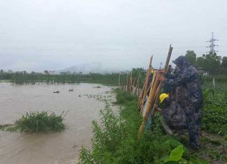 मनोहरा खोला बस्तीमा पसेपछि अस्थायी बार लगाईयो