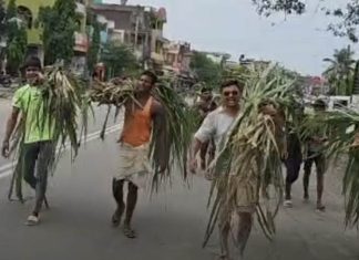 गरुडाका मेयरलाई बाँदरले क्षति गरेको उखु उपहार