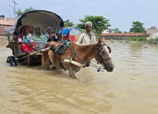 तेसो दिन खुल्यो गौर भन्सार, पानी जमेर आउने जानेलाई सास्ती