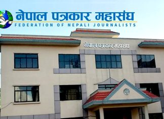 पत्रकार महासंघ पार्टीहरूका संगठनहरूको खेलमैदान, यस्तो बन्यो गठबन्धन