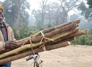 रौतहटमा इ रिक्सावालले यात्रु बाेक्न छाडेर काँचा दाउरा थाले बोक्न