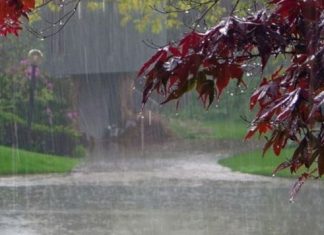 मौसम पूर्वानुमान : हिमाली भूभागका एक–दुई स्थानमा हल्का वर्षा र हिमपातको सम्भावना