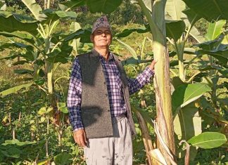 फलफूल खेतीमा रमाएको घिमिरे दम्पती