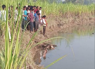 सर्लाहीमा खोलाले बगाएर बेपत्ता भएकी बालिकाको ६ दिनपछि भेटियो शव