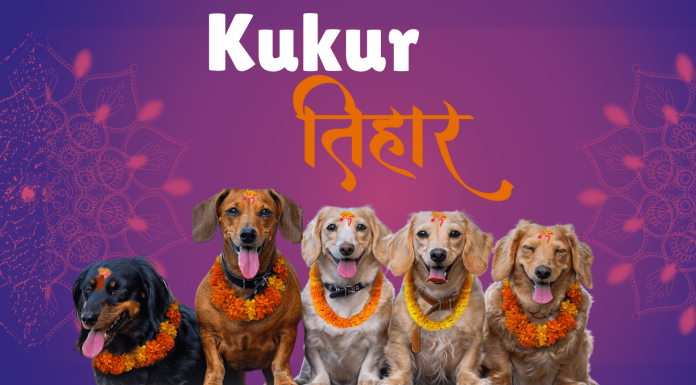 ‘कुकुर तिहारः वफादारी र सद्भावको प्रतीक पूजा’