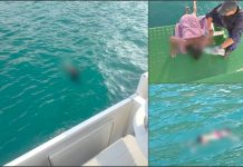 मलेसिया-थाइल्यान्ड सीमामा डुबल जहाजका घटनामा थप ६ अप्रवासीको शव फेला