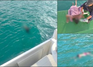 मलेसिया-थाइल्यान्ड सीमामा डुबल जहाजका घटनामा थप ६ अप्रवासीको शव फेला