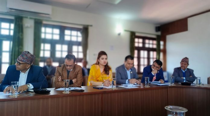 विदेशमा रहेका नेपालीलाई अनलाइन मताधिकार सुनिश्चित गर्नुपर्नेमा गैरआवासीय नेपाली संघको जोड