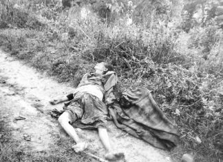 रामेछापमा जङ्गली जनावरको आक्रमणबाट ६५ वर्षीया महिलाको मृत्यु