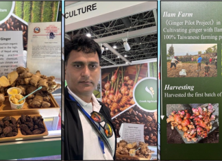 दुबईको एक्सपोमा इलामको अदुवा र अलैँचीले विश्वको ध्यान खिच्यो