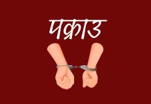 म्यारिज ब्यूरो चलाएको आरोपमा चिनियाँ ४ जना पक्राउ