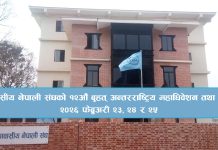 एनआरएनएको १२औं महाधिवेशन फेब्रुअरीमा