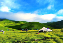 आज कोशी प्रदेशको हिमाली भू–भागमा आंशिक बदली रही बाँकी भू–भागमा मौसम सफा रहने