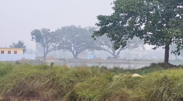 आजको मौसम : तराईका केही स्थानमा हुस्सु, बाँकी क्षेत्रमा मौसम सफा