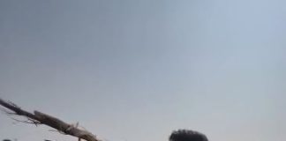 मतदाता रिझाउन ऋषि धमलाको अनेक शैली