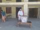 क्रियापुत्रीले पनि गरे मतदान