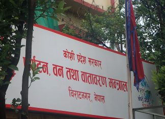 कोशी पर्यटन वर्ष २०८२ : प्रचार धेरै, उपलब्धि न्यून