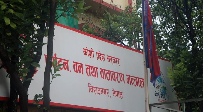 कोशी पर्यटन वर्ष २०८२ : प्रचार धेरै, उपलब्धि न्यून