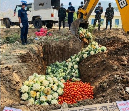 तरकारीमा अत्यधिक बिषादी भेटिएपछि कडाई