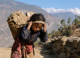 नेपालमा बालश्रम : हिमाली तथा पहाडी दुर्गम क्षेत्रमा अझै जोखिम