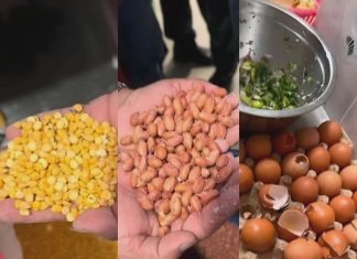 सिंहदरबारको केन्द्रीय क्यान्टिनमा अखाद्य सामग्री फेला, २ लाख १ हजार रुपैयाँ जरिवाना