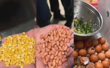 सिंहदरबारको केन्द्रीय क्यान्टिनमा अखाद्य सामग्री फेला, २ लाख १ हजार रुपैयाँ जरिवाना