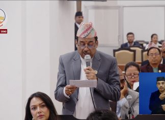 माटो जोगाउन कपडाको बर्दी होइन, छातीमा देशप्रेम भाव चाहिन्छ : सांसद गिरी