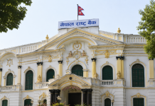 बैंक तथा वित्तीय संस्थाका सीईओको तलब–सुविधामा नेपाल राष्ट्र बैंकको नयाँ मापदण्ड