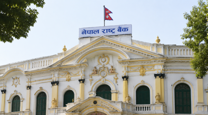 बैंक तथा वित्तीय संस्थाका सीईओको तलब–सुविधामा नेपाल राष्ट्र बैंकको नयाँ मापदण्ड