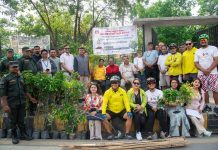 सडक किनारा, पार्क, नदी किनाराहरुमा समी, कपुर, फलफुलका विरुवा रोपिए