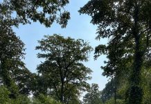 धनसर-जंगलसहिया सडकमा बढ्यो दुर्घटनाको त्रास