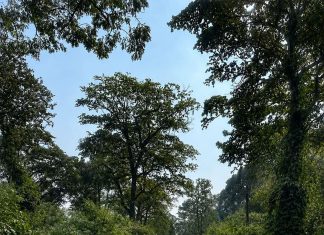 धनसर-जंगलसहिया सडकमा बढ्यो दुर्घटनाको त्रास