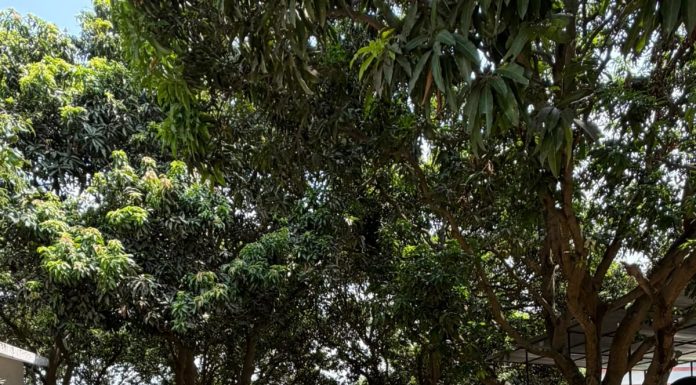 ३ मोटरसाइकलसहित झण्डै १२ लाखको अवैध भारतीय कपडा बरामद