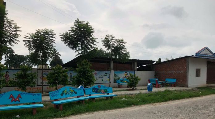 पार्क निर्माणमा स्थानीय हात, ३ महिनामै चिटिक्क बन्यो जनता पार्क