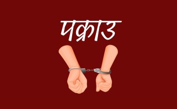 कम्बोडिया र न्यूजिल्याण्ड पठाइदिन्छु भन्दै ठगी गर्ने दुई जना पक्राउ