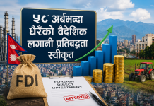 ५८ अर्बभन्दा धेरैको वैदेशिक लगानी प्रतिबद्धता स्वीकृत